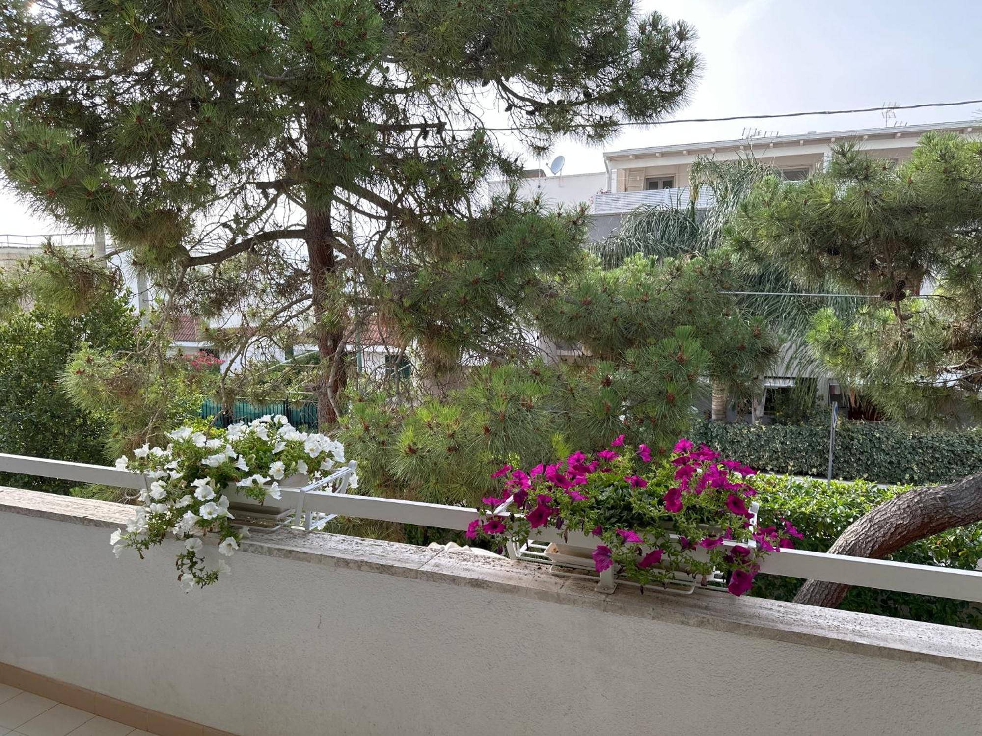 Villa Teresa Maria Porto Cesareo Εξωτερικό φωτογραφία